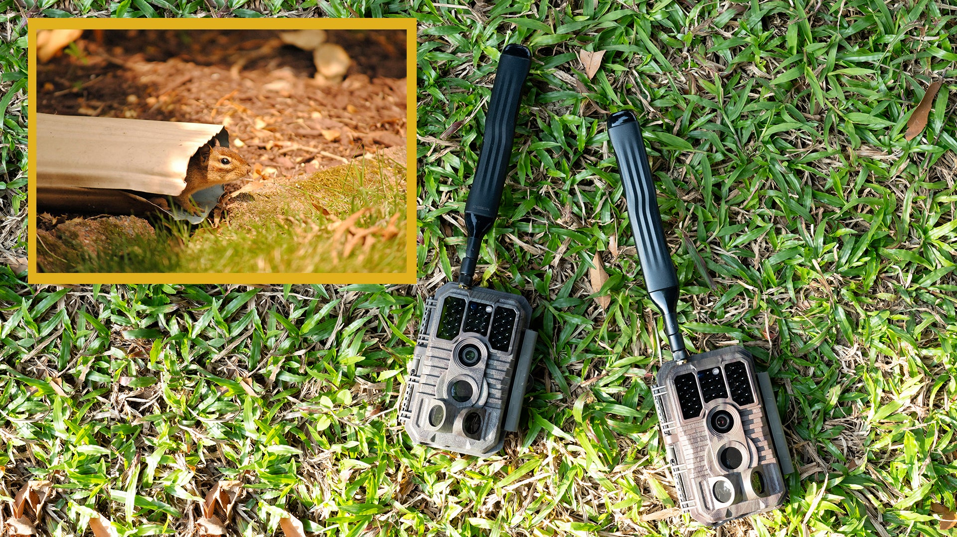 Score Big Savings: Top 3 GardePro Trail Camera Deals You Can't Miss!