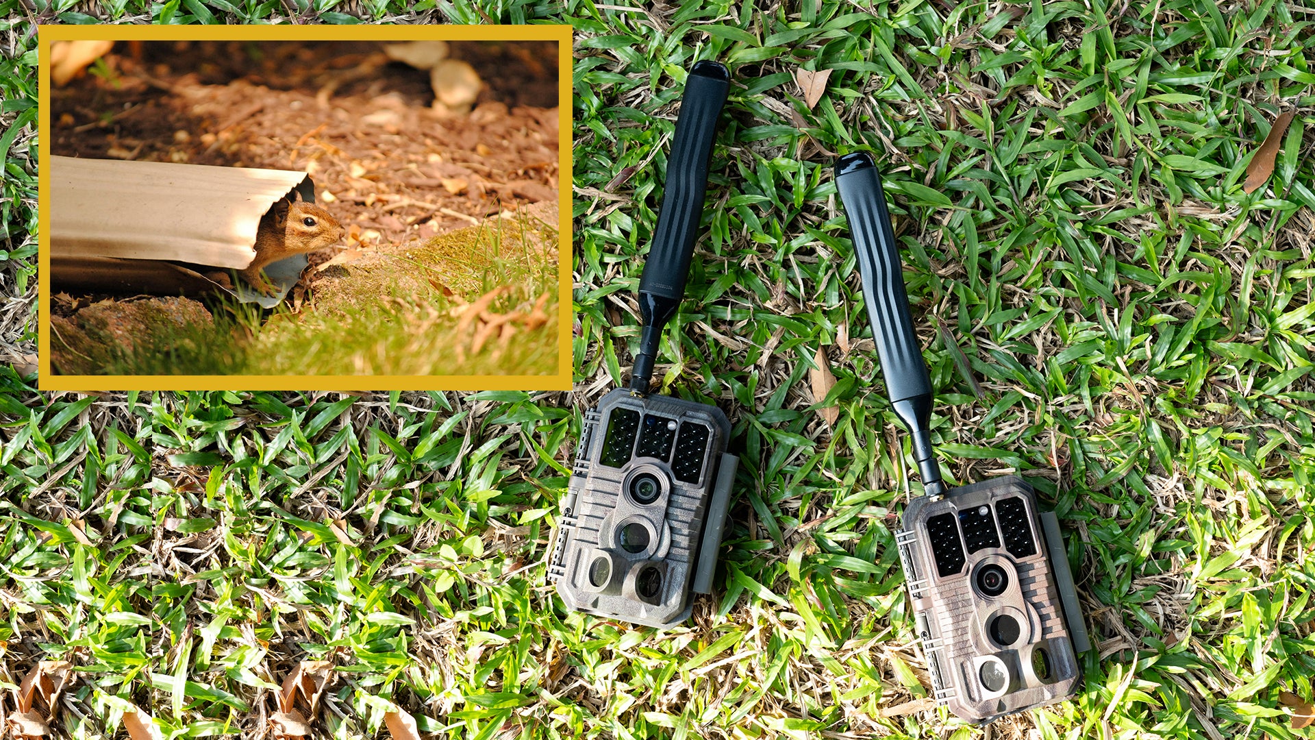 Score Big Savings: Top 3 GardePro Trail Camera Deals You Can't Miss!