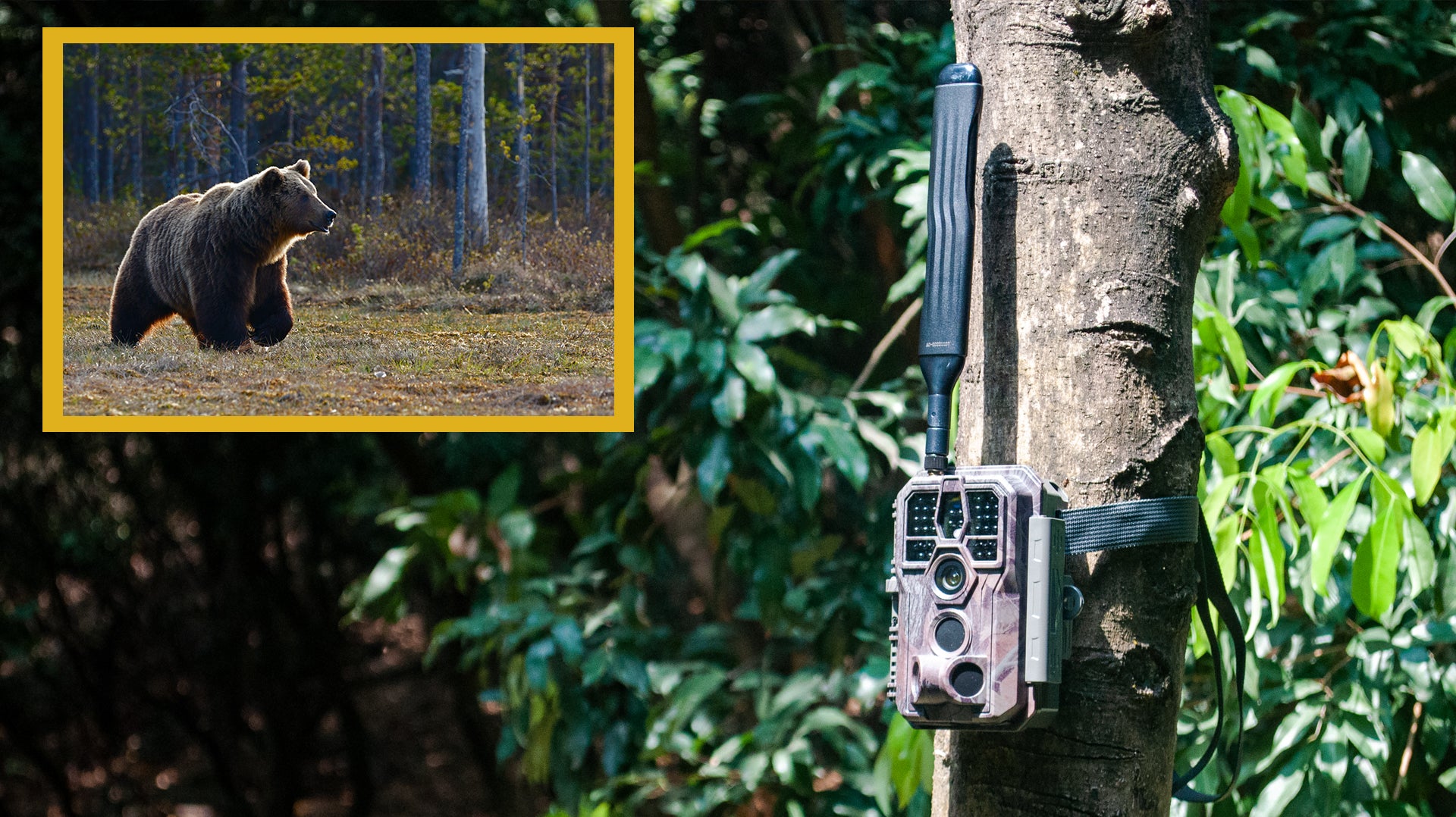 Benefits of using GardePro trail cameras for research