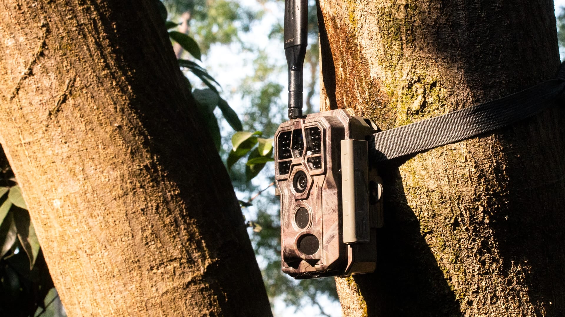 How to use GardePro trail cameras to take better photos/videos