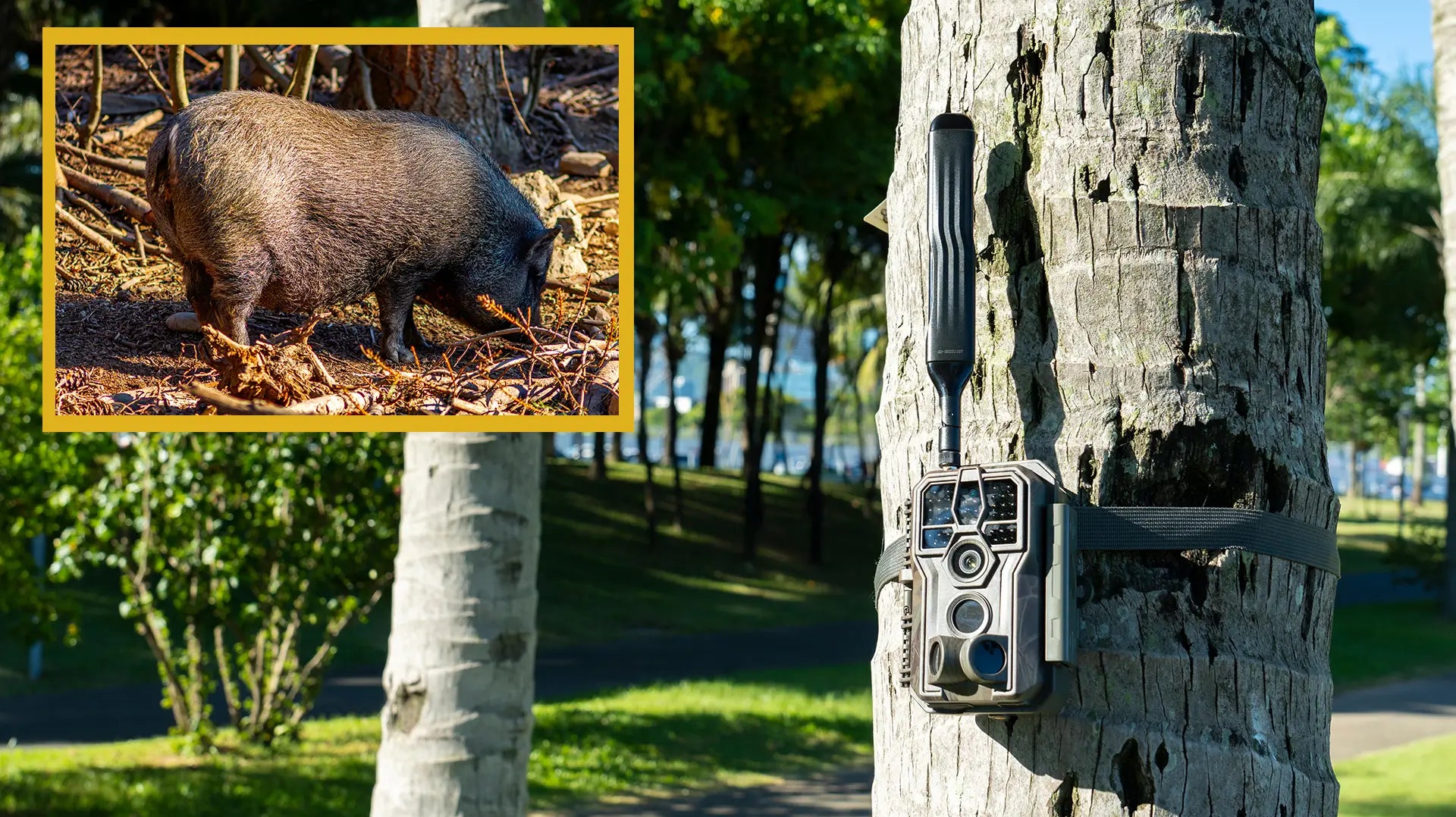 GardePro Discounts Galore: Explore the Best Cellular Trail Camera Deals of the Season!