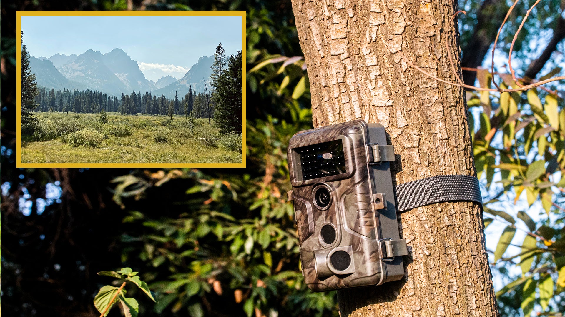 The Top 10 Hunting Destinations with GardePro trailcam in the United States (Part 2)