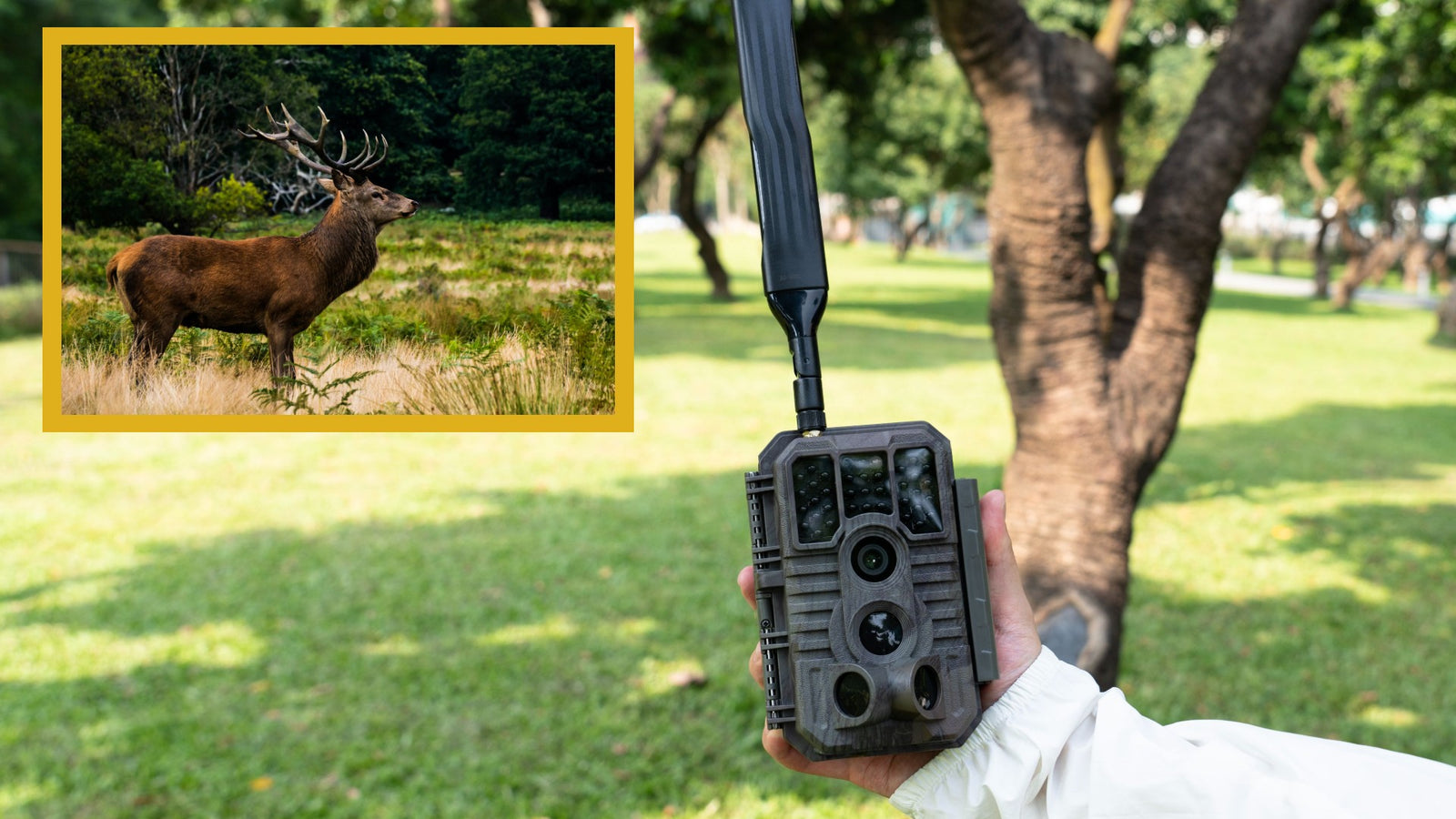 GardePro App for Live Stream Cellular Trail Camera Review