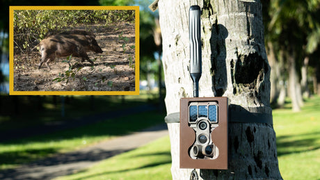 GardePro X60P Live Max: Live Stream Rechargeable Cellular Trail Camera Review