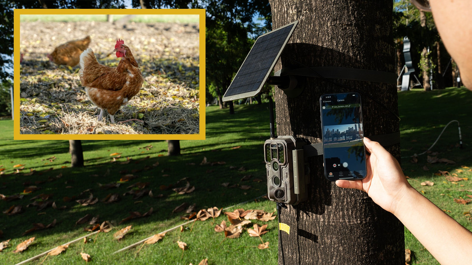 What to Know about the GardePro App for WiFi Trail Cameras - An In-depth Review