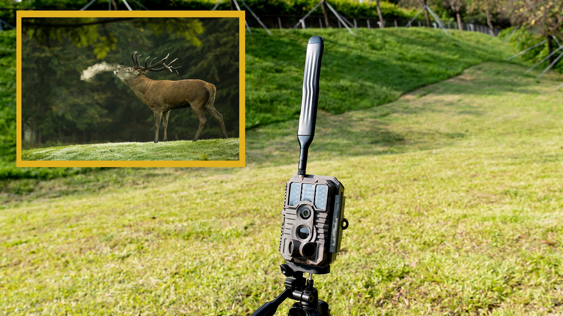 Enhance Your 2024 Turkey Hunting Plans with Cellular Trail Cameras