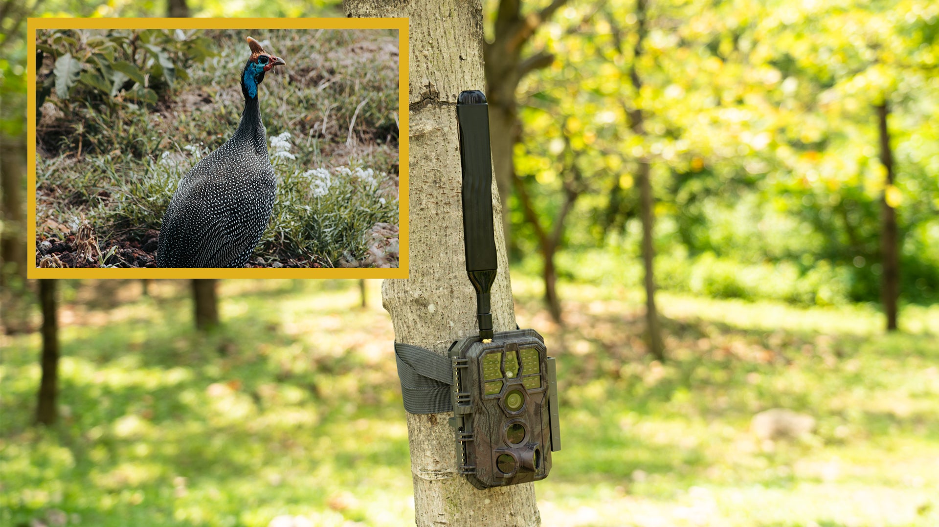 How to activate GardePro 4G LTE Cellular Trail Camera?