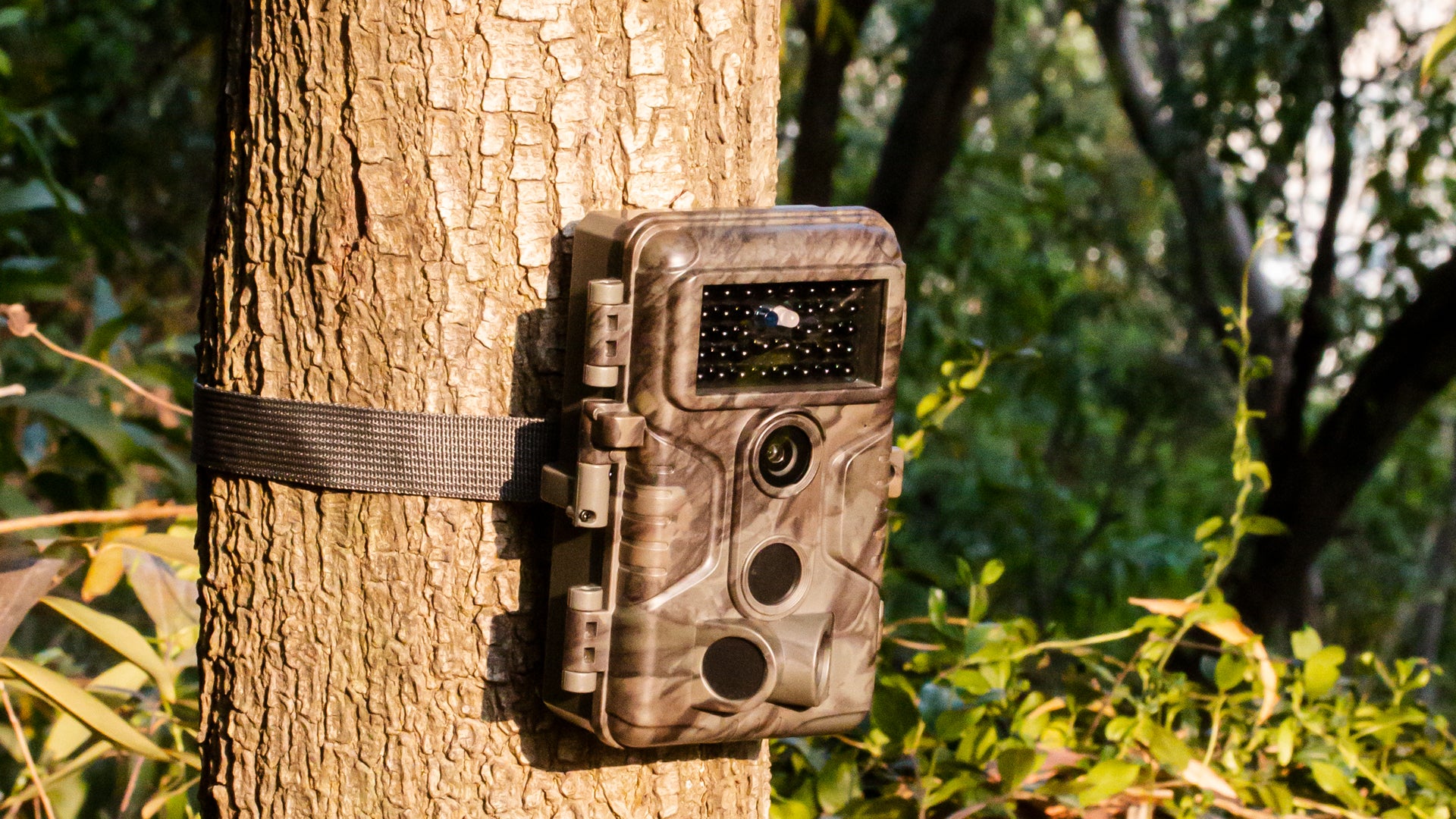How to Take Better Photos with a GardePro Trail Camera