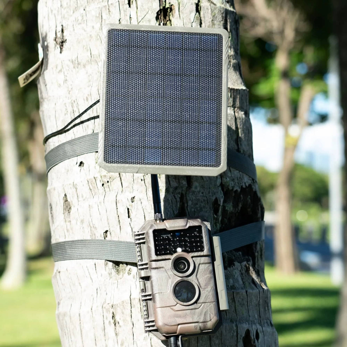  GardePro WiFi Trail Camera E6 With Solar Panel