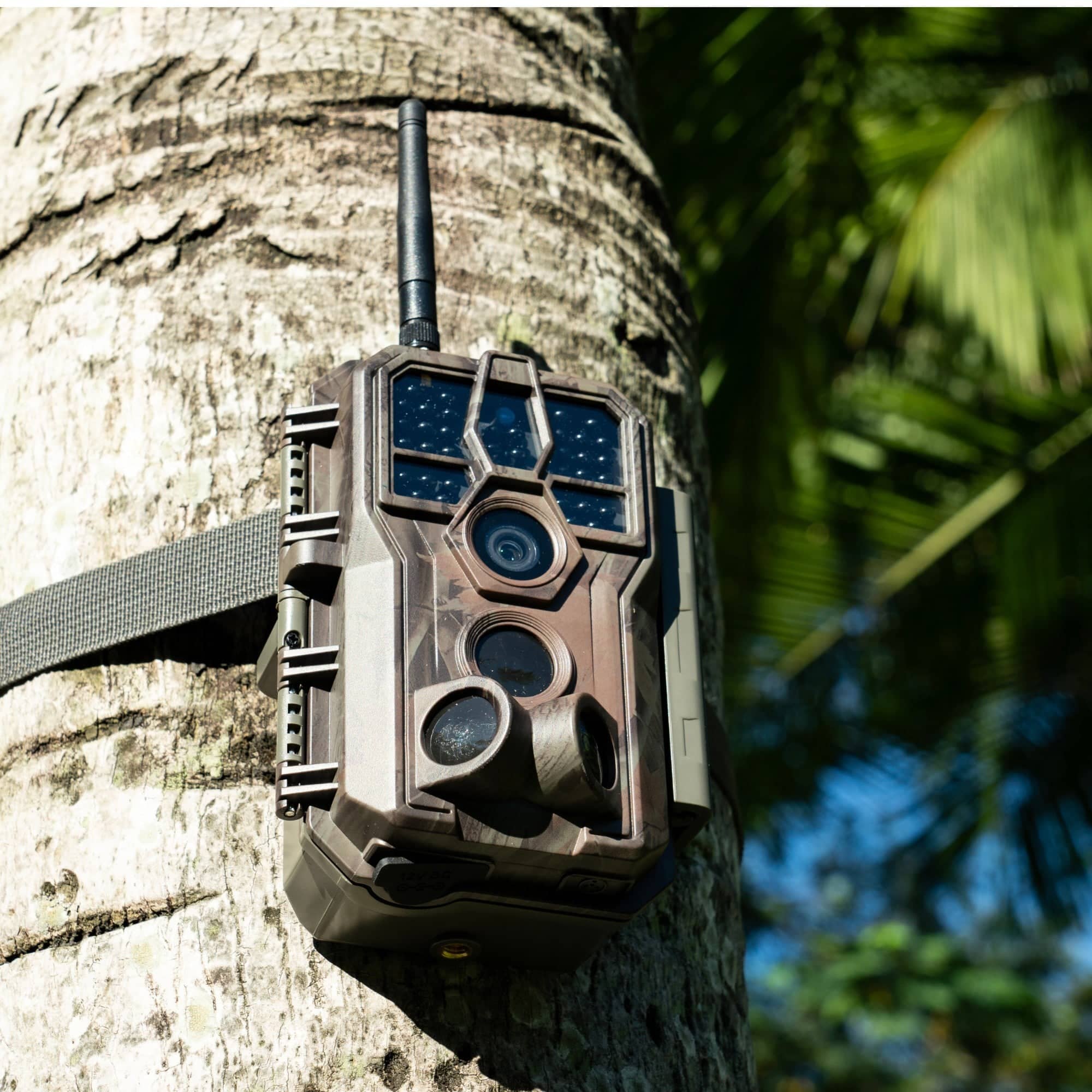 Trail Cameras With Close Focus Lens Bird Camera – GardePro