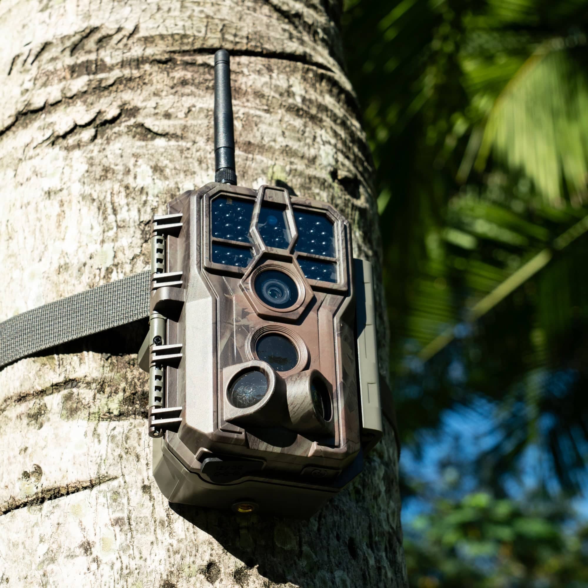 Trail cameras on sale with wifi