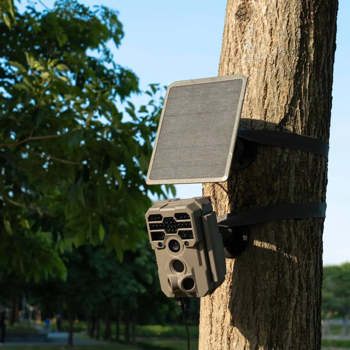 GardePro A6 4K Trail Camera