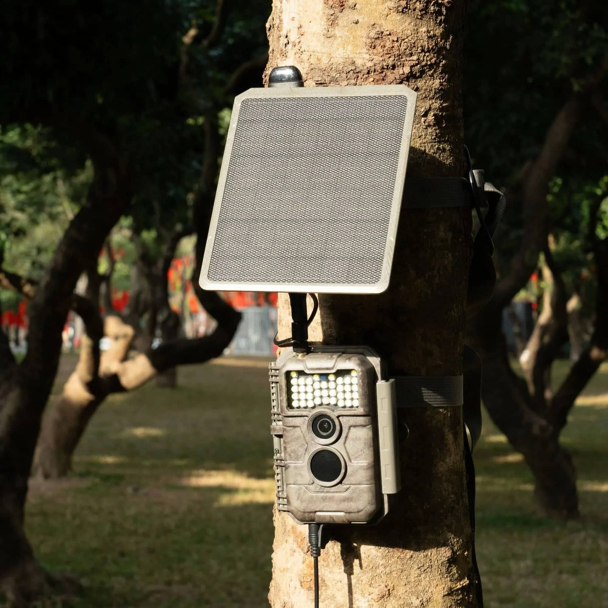 GardePro X20WF(Cellular) With Solar Panel