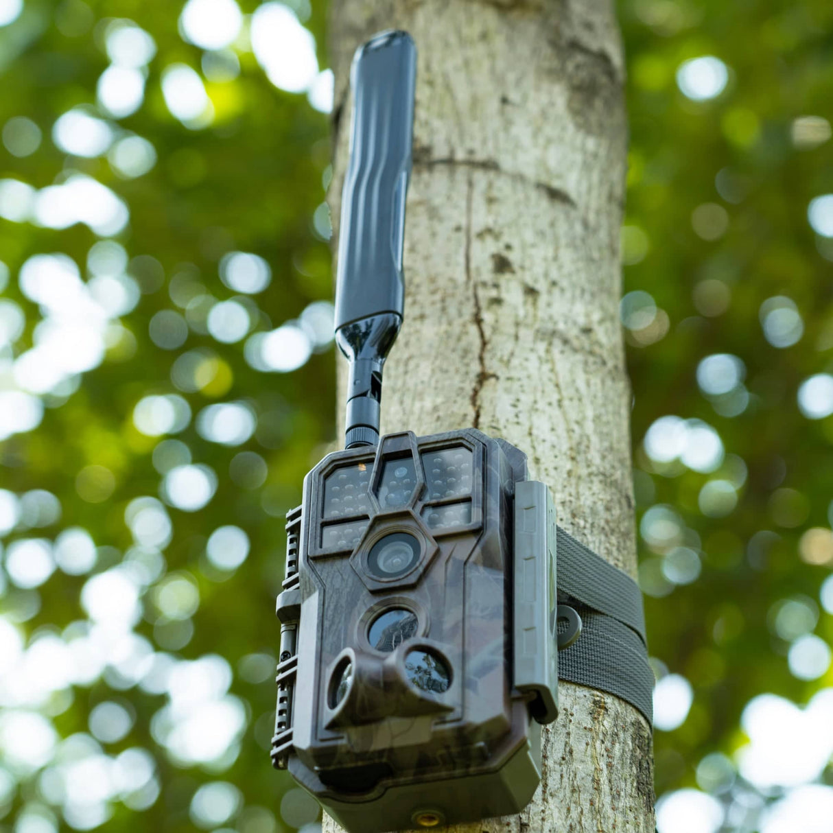 GardePro Cellular Trail Camera x50MB Pre-Installed Contract SIM  With Rechargeable Battery Built in Memory SD Card