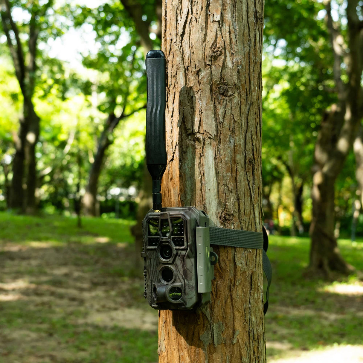 GardePro Cellular Trail Camera x50MB Pre-Installed Contract SIM  With Rechargeable Battery Built in Memory SD Card