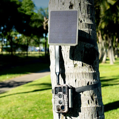 x60p cellular trail cameras powerful 4G Cellular Signal