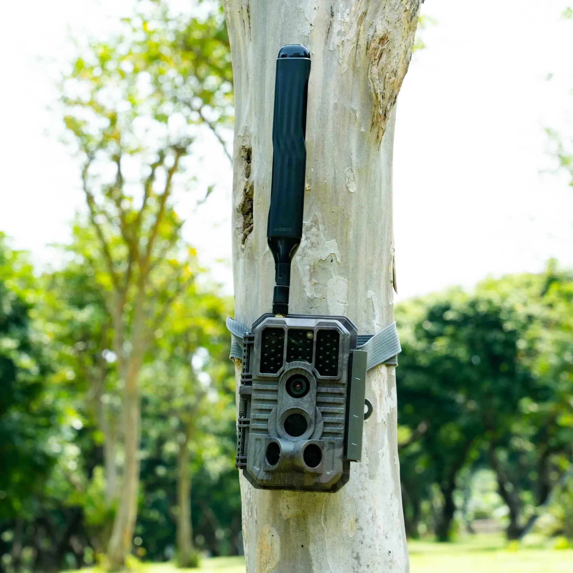 GardePro Cellular Trail Camera X60LPMB Pre-Installed Contract Sim With Live Stream & Rechargeable Battery & 32G Built-in Memory SD Card & Wall Mount