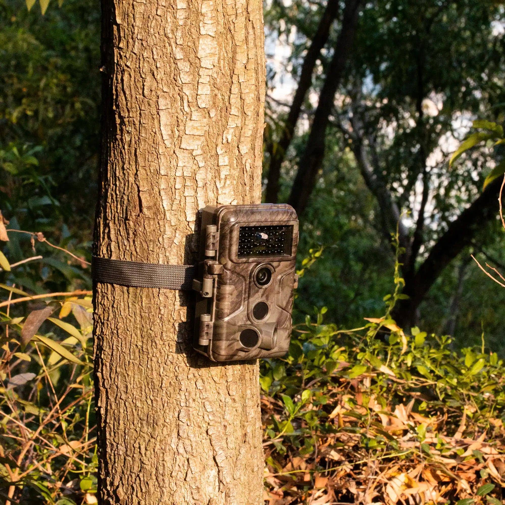 Mini caméra de chasse autonome 6 mois Full HD