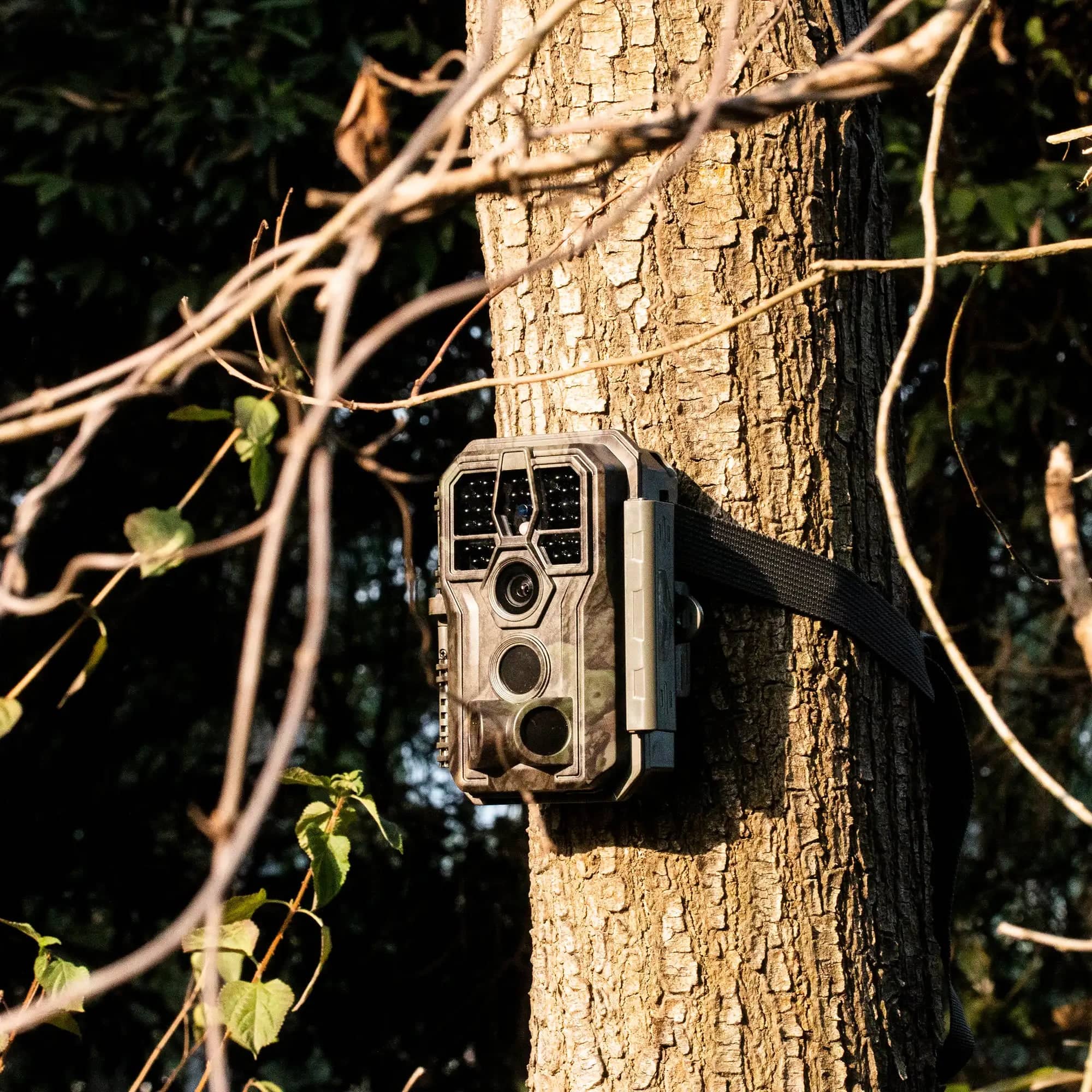GardePro E5S Caméra de Chasse 32MP 1296P H.264 Vidéo, Jusqu' 30m Camera  Chasse Infrarouge Vision Nocturne, Vitesse de Dclenchement 0,1s et Angle de  Dtection 120°, 940nm IR LED - ProChasse